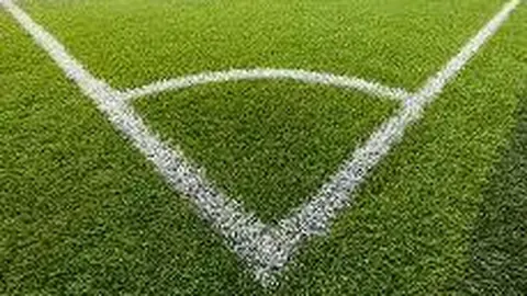 【独家】周日009德甲前瞻：霍芬海姆迎战法兰克福